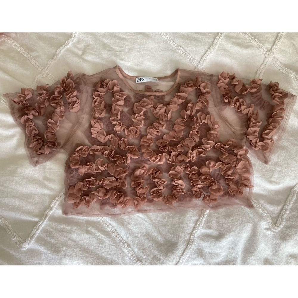 DONATED✖️ 
Ruffled Sheer Blouse